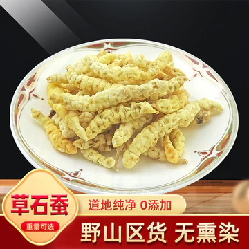 Cỏ Tơ Tự Nhiên Nguyên Chất Sản Phẩm Mới Trung Quốc Chất Liệu Thảo Dược Đất Tơ Cỏ Thực Phẩm Tơ tằm Đất Đông Trùng Hạ Thảo Trắng Đông Trùng Hạ Thảo 500g