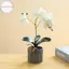 Houdou Lụa Bướm Phong Lan Hoa Nhân Tạo Cây Cảnh Phong Lan Phalaenopsis Chậu Hoa Nhà Trang Trí Đám Cưới Sắp Xếp Cây Giả VN