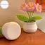 Hodou Móc Hoa Hướng Dương Nhân Tạo Chậu Tay Dệt Cây Quà Cưới Cho Khách Trang Trí Hoa Hướng Dương Trang Trí Phòng VN