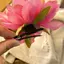 PNPIA- Kẹp Tóc Hoa Hawaii Cho Nữ Cô Gái Lãng Mạn Bohemian Hoa Bên Kẹp Tóc Ngọt Ngào Kẹp Tóc Thời Trang Phụ Kiện Tóc Quà Tặng