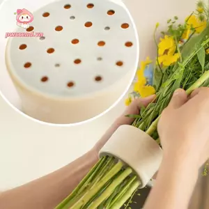 PWSEND Giá đỡ thân hình xoắn ốc cho bình hoa, Dụng cụ sắp xếp hoa DIY Giá đỡ sắp xếp hình xoắn ốc Giá đỡ thân cây Ikebana, Bó hoa bằng nhựa Hoa Sắp xếp hoa Twister