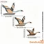 Bộ 3 trang trí nghệ thuật treo tường bằng gỗ sáng tạo 2D Seagull phẳng / Trang trí tường thiên nga cho phòng ngủ Phòng khách và hơn thế nữa
