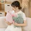 DELMER Động vật nhồi bông rùa dễ thương, Đồ chơi sang trọng rùa biển màu hồng sang trọng, Phim hoạt hình màu xanh lá cây Động vật hoạt hình Gối rùa mềm Búp bê sang trọng Cô gái