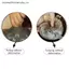 MỚI Tức Giận Blob Seal Gối Mũm mĩm 3D Mới Lạ Biển Sư Tử Búp Bê Sang Trọng Đồ Chơi Nhồi Bông Cho Bé Ngủ Ném Gối Quà Tặng Cho Trẻ Em Bé Gái SKY