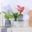 Chậu trồng cây tự tưới nước ZENZON, Bình hoa nhựa hai lớp, Trang trí cây cảnh gia đình Mini tự động tròn Lười Chậu hoa trong chậu trong nhà