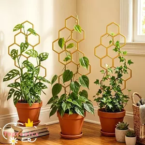 TOPTOOLCX Cây Trellis, Hỗ trợ Cây nho trong chậu Khung leo trong vườn chống gỉ, Thiết kế tổ ong Hoa nhựa Trellis Trong nhà ngoài trời
