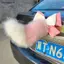 Trang trí đuôi xe sang trọng Fluffy Nơ dễ thương Cảm ứng mềm mại Nhiều màu sắc Kiểu dáng ngoại thất ô tô Phụ kiện ô tô cho bé gái Đẹp