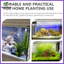 Trang trí bể cá cho cây treo cá zhenghtr