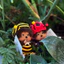 BH2 MONCHHICHI Plushie Bọ Cánh Cứng Dễ Thương Bee Đồ Chơi Hợp Thời Trang Vinyl Sang Trọng Mù Hộp Búp Bê Túi Charm HB2