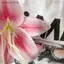 SRVN Sáng Tạo Hoa Lan Lily Mô Phỏng Móc Khóa Hoa Thời Trang Bapa Phụ Kiện Trang Trí.