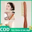 Trong kho đồng rộng răng massageb cho unblocking kinh tuyến trong đầu, da đầu và chăm sóc tóc Cá Tuyết