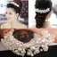 Kudosation Cô Dâu Cưới Pha Lê Hoa Tiara Vương Miện Ngọc Trai Kim Cương Giả Tóc Đẹp