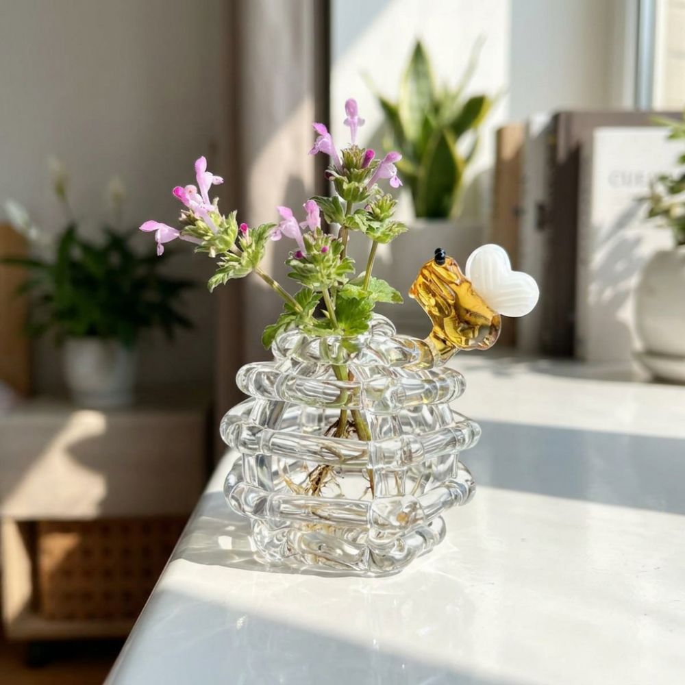 Bình bi thủy tinh nhỏ DONOVANQQ, bình hoa thủy canh Zen trong suốt, đế độc đáo, bình cắm hoa trang trí nội thất
