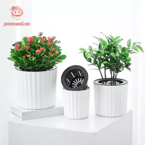 PWSEND Chậu hoa hấp thụ nước lười biếng, Đồ dùng làm vườn Chậu trồng cây Mini Chậu hoa tự tưới nước, Chậu hoa hấp thụ nước màu trơn bền bằng nhựa
