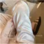 Acetate Hot Khoan Mới Phong Cách Trung Hoa Satin Quần Ống Thẳng Nữ Mùa Hè Phong Cách Mới Drap Ôm Hơn Nhìn Mỏng Quần Thường Ngày
