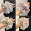 Kẻ Sọc Ren 2026 Scrunchy Dây Buộc Tóc Ngọt Đuôi Ngựa Bóng Đầu Dây Thời Trang Phối Tóc