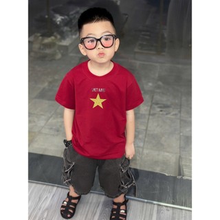 Áo thun cho bé hình cờ đỏ sao vàng ánh nhũ, áo nhóm mùng 2 tháng 9, áo phông gia đình
