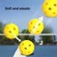 LACYESUK 40 Lỗ Pickleball, Tầm Nhìn Cao Hiệu Suất Tốt 74MM Pickleball, Thi Đấu Màu Sắc Tươi Sáng Tiêu Chuẩn 26g Mỗi Bóng Pickleball Huấn Luyện Bóng Phụ Kiện Thực Hành