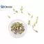 10 / 50 Bộ công cụ loại bỏ liên kết đồng hồ Dây đeo đồng hồ Dụng cụ tháo chốt liên kết để điều chỉnh dây đeo đồng hồ và sửa chữa đồng hồ Đẹp