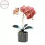 Houdou Lụa Bướm Phong Lan Hoa Nhân Tạo Cây Cảnh Phong Lan Phalaenopsis Chậu Hoa Nhà Trang Trí Đám Cưới Sắp Xếp Cây Giả VN