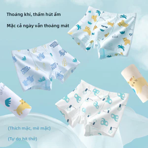 Bộ 4 Đồ Lót Cotton Nguyên Chất Thích Hợp Cho Bé Trai, Loại A.