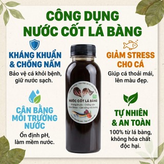 Nước Cốt Lá Bàng Đậm Đặc Gấp 3 Lần Lọc Lưới Nano Siêu Trong Dưỡng Cá Giảm Stress