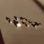Tweedhuj 316L Thép không gỉ Xoắn Xuyên Sao Bông Tai Nữ 1 Xu Hướng Zircon Lobe Rook Sụn Tai Trang Sức Phụ Kiện Cơ Thể VN