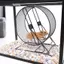halluya.vn-sip-my Bánh xe tập thể dục cho Hamster Funien Ổn định Tiếng ồn thấp Sóc đa chức năng cho lồng Dễ dàng bảo trì Chuột chũi phù hợp Bàn ủi