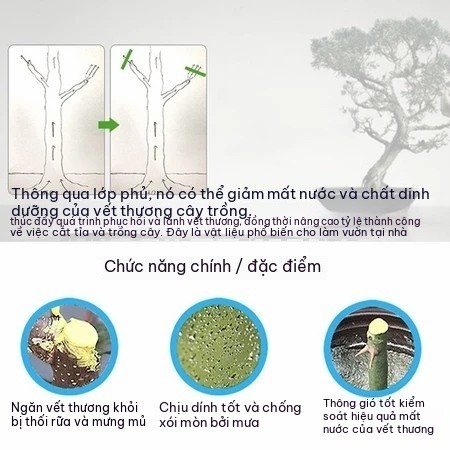 Keo Liền Sẹo Cho Cây 100g/500g Kèm Cọ Bôi Keo Liền Da Cây Bảo Vệ Vết Cắt Sau Cắt Tỉa Ghép Cành