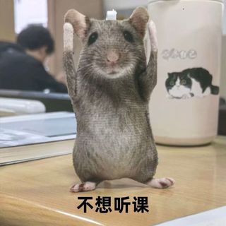 Móc Treo Chuột Khô Giả Lập Naha – Thú Bông Hài Hước Có Khung Xương Tạo Dáng, Treo Balo Túi Xách, Đồ Chơi Troll Bạn Bè