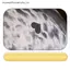 MỚI Tức Giận Blob Seal Gối Mũm mĩm 3D Mới Lạ Biển Sư Tử Búp Bê Sang Trọng Đồ Chơi Nhồi Bông Cho Bé Ngủ Ném Gối Quà Tặng Cho Trẻ Em Bé Gái SKY