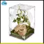 Dành cho nhện nhảy, tắc kè, Tarantulas Tương thích Acrylic Bò sát Terrarium Lắp ráp dễ dàng, 360° Thiết kế rõ ràng Vỏ thú cưng an toàn