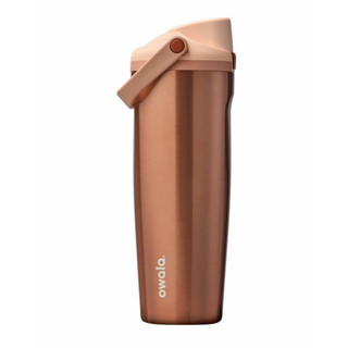 Owala FreeSip Sway Insulated Stainless Steel Water Bottle - 30 oz
