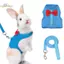 Bộ dây nịt và dây xích thỏ HL, Áo Vest dây nịt an toàn cho thỏ & chuột lang - Bộ dây xích dây đeo ngực có thể điều chỉnh cho thú cưng nhỏ LMWU
