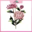 MYPANDA Hoa Kim Loại Thổ Cẩm Dành Cho Nữ Dễ Thương Lãng Mạn Nhiều Màu Sắc Hợp Kim Crysal Cây Thổ Cẩm Pin Dự Tiệc Trang Sức Sinh Nhật.
