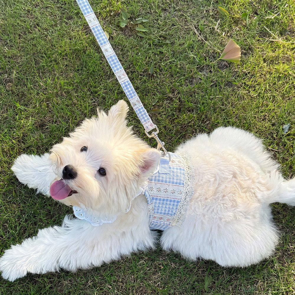 Thú Cưng Chó Ngực Lưng Dây Xích Hoa Pháp Ren Áo Phong Cách Phá Vỡ Đi Chơi Chuyên Dụng Chó Nhỏ Bichon Ren Đi Bộ Mèo Chó Dây Xích