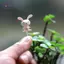 HFTOY Mini Cố Định Pin Vườn Cổ Tích Thu Nhỏ Gnomes Moss Terrariums Nhựa Thủ Công Các Bức Tượng Nhỏ Cho Phụ Kiện Trang Trí Nhà ~