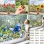 Nhãn dán cửa sổ PVC tĩnh điện Rainbow - Decal hoa có thể tháo rời