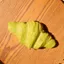 DARON Croissant Squishy Đồ chơi mô phỏng Tay thư giãn Bánh mì nhân tạo giả, Thức ăn dính cho trẻ em Phim hoạt hình tăng chậm Đồ chơi phục hồi mềm sinh nhật