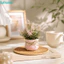 Cây trồng trong chậu FUHUIOT, Đồ trang trí nội thất Hoa trong chậu nhân tạo, Quà tặng Cây mô phỏng giống như thật Mini Văn phòng