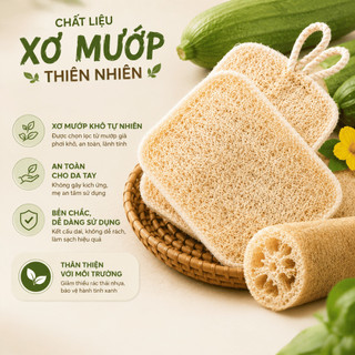 Combo 5 Miếng Rửa Chén Bằng Xơ Mướp Tự Nhiên, Miếng Cọ Rửa Bát Đĩa Sạch Dầu Mỡ, Không Trầy Xước