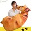 EDIWANY Chó Ném Gối, Động Vật Như Thật Hoạt Hình Chó Nhân Vật Gối, Ngộ nghĩnh 50cm Sofa Đệm Đồ Chơi Nhồi Bông Quà Tặng