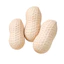 < Pluscloth > 3 Đồ chơi giảm căng thẳng đậu phộng khổng lồ chậm - Bóp bóng Fidget cho trẻ em Người lớn Thư giãn Giảm lo âu Bóng căng thẳng hoàn hảo cho người mua Đông Nam