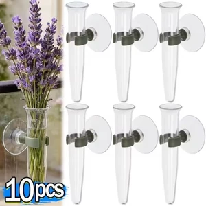 2 / 10 Chiếc Bình Hút Mini Thực Vật Trong Suốt Chậu Thủy Canh Có Đế Hút Hoa Thân Chai Cho Cửa Kính Windows Trang Trí Cửa