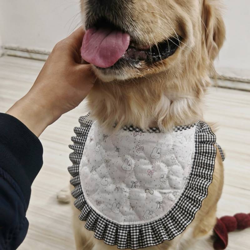 Alaska Samo Golden Retriever Pet Dog Nước bọt Khăn Yếm Dễ Thương Ăn Chống Bẩn Chó Lớn Yếm Thú Cưng
