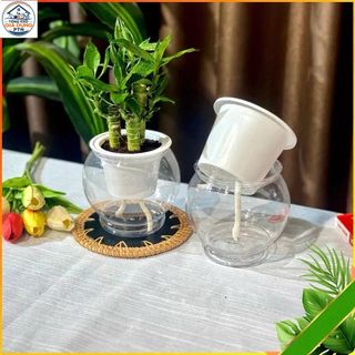 Bình Nhựa Tròn Trong Suốt Chuyên Dùng Trồng Cây Thủy Sinh, Thủy Canh, Bình Nuôi Cá Để Bàn - Bình Trồng Gừng