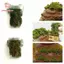 PWSSEND Cỏ Tuft DIY Micro Phong Cảnh Buliding Mô Hình Cảnh Vật Liệu Thực Vật