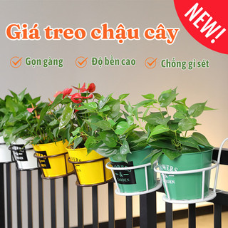Kệ treo chậu hoa ban công sắt sơn tĩnh điện phong cách hiện đại Buna