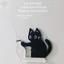 AMBU Cat Whiskers Collection Đồ trang trí, Hộp tưởng niệm lưu trữ tóc mèo hoạt hình Acrylic, Nhãn dán tủ lạnh mèo từ tính sáng tạo để trang trí nhà cửa