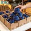 GHX Innocent Blueberry Búp Bê Mô Phỏng Sang Trọng Móc Khóa Dễ Thương Nhồi Bông Túi Đồ Chơi Quyến Rũ Cho Nữ Trường Bapa Trang Trí VN